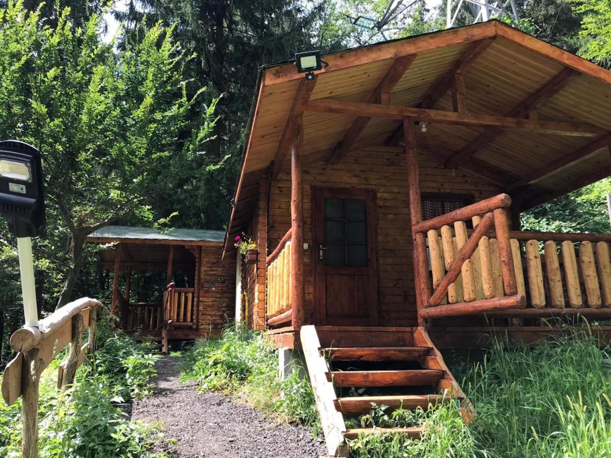 Cabanute Si Camping Dracula Capatineni-Paminteni Exterior foto
