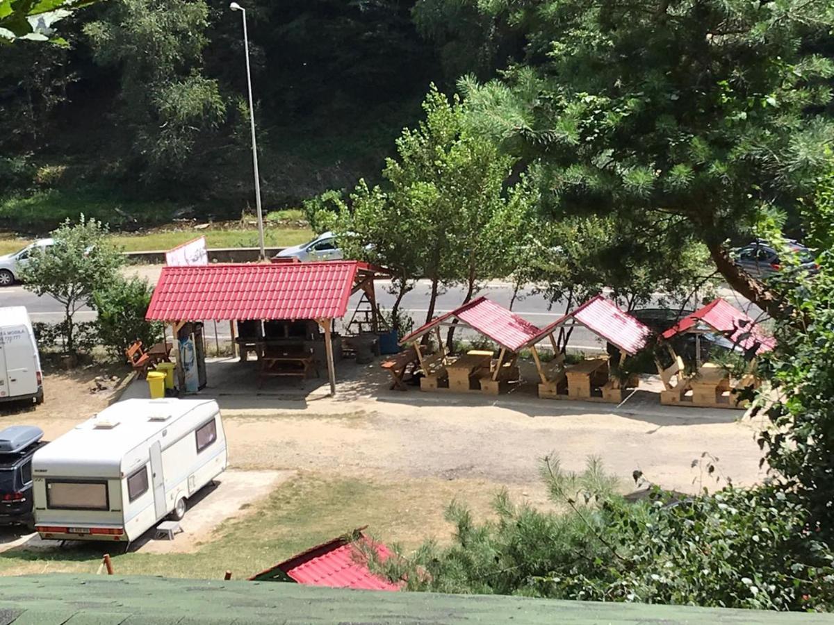 Cabanute Si Camping Dracula Capatineni-Paminteni Exterior foto