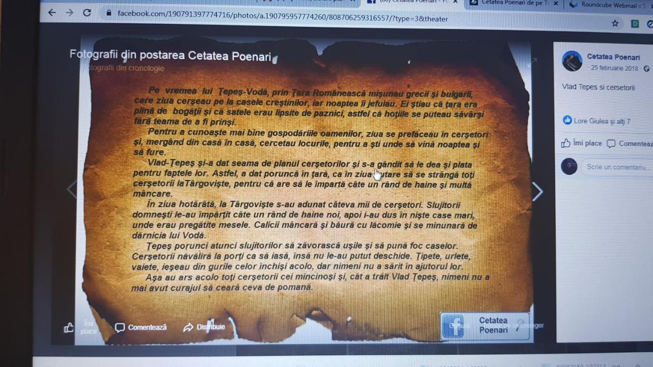 Cabanute Si Camping Dracula Capatineni-Paminteni Exterior foto