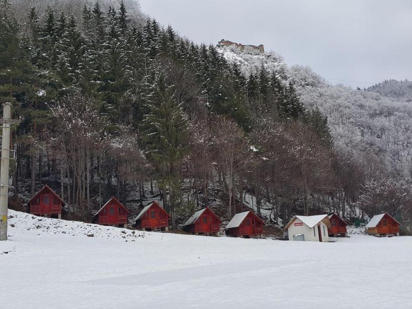 Cabanute Si Camping Dracula Capatineni-Paminteni Exterior foto