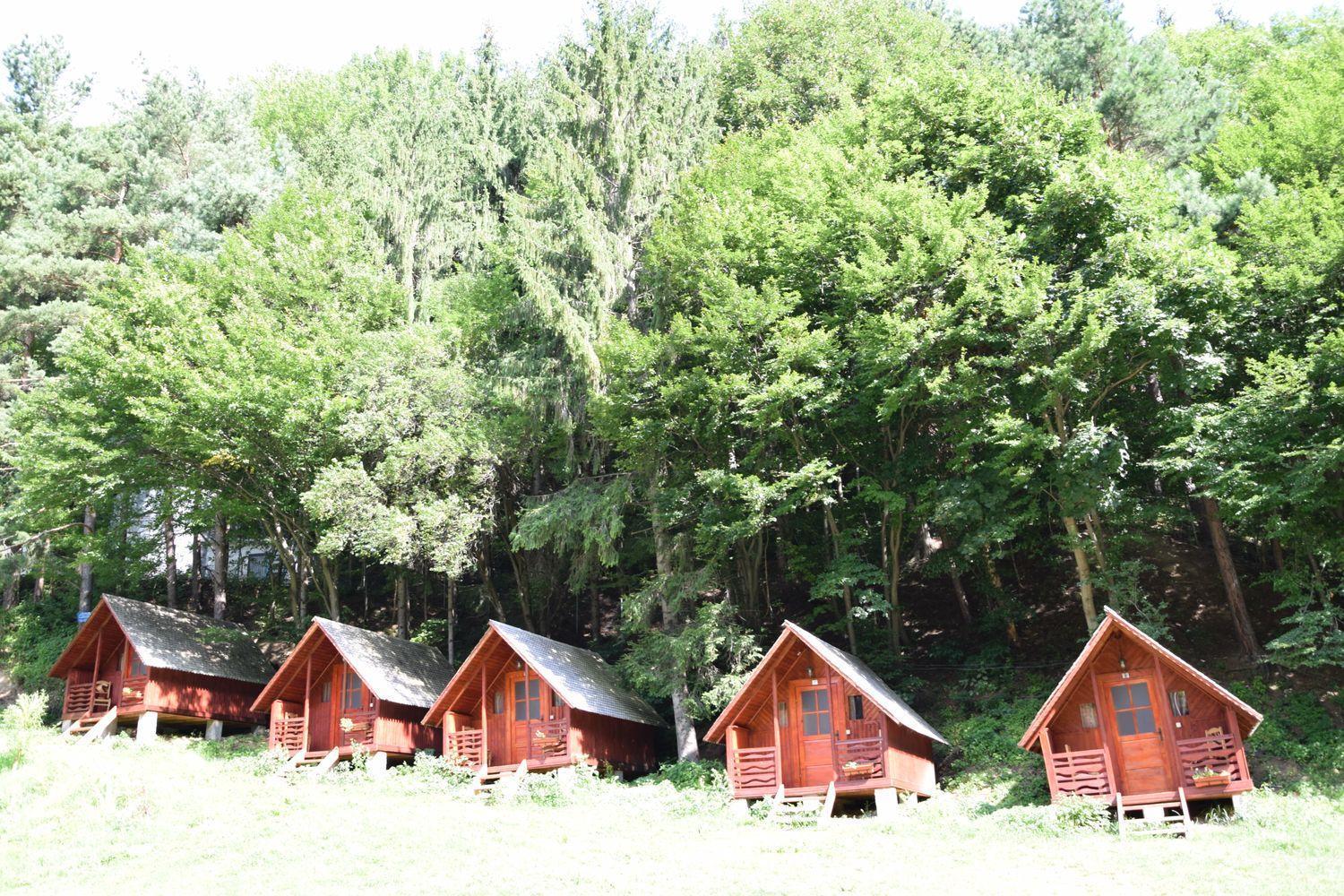 Cabanute Si Camping Dracula Capatineni-Paminteni Exterior foto