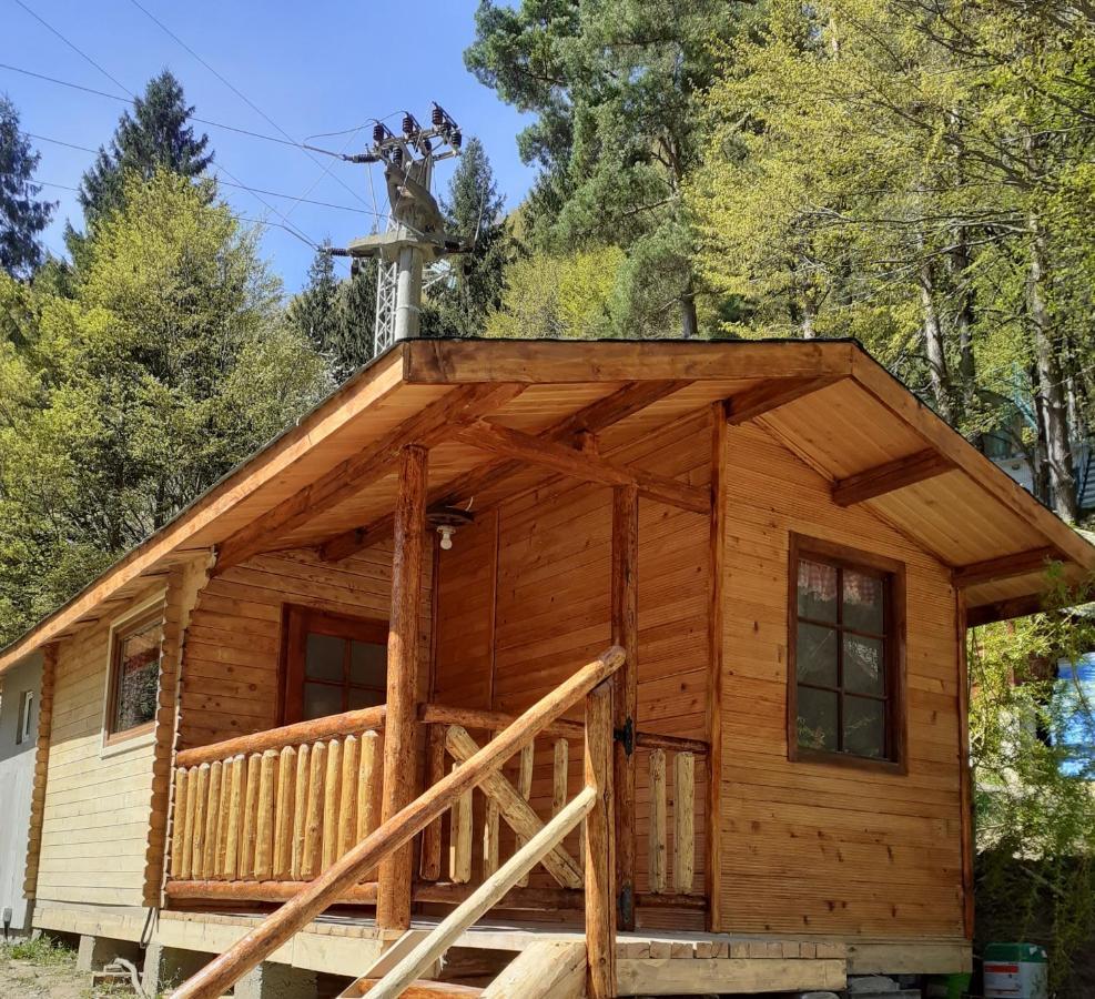 Cabanute Si Camping Dracula Capatineni-Paminteni Exterior foto